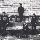 7inch Vinyl Single - White Lung - Atlanta