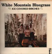 White Mountain Bluegrass - Ice Covered Birches