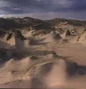 White Manna - Dune Worship