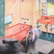 white lung - SONGS OF THE SOUTH
