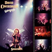 David Coverdale, Whitesnake - Snakebite