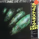 LP - Whitesnake - Live At Hammersmith - ltd, +sticker +Obi