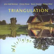 Whirligigs - Triangulation