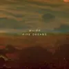 LP - WHIRR - PIPE DREAMS