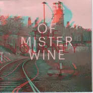 Winter By Lake - The Journey Of Mister Wine