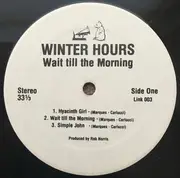 12inch Vinyl Single - Winter Hours - Wait Till The Morning