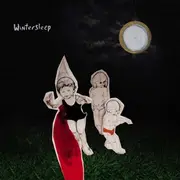 CD - Wintersleep - Welcome To The Night Sky