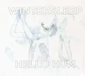 Wintersleep - Hello Hum
