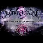 Wintersun - Live At Tuska Festival..