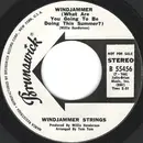 7inch Vinyl Single - Windjammer Strings - Windjammer (What Are You Going To Be Doing This Summer)
