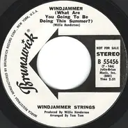 Windjammer Strings - Windjammer (What Are You Going To Be Doing This Summer)