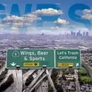 7inch Vinyl Single - Wings, Beer & Sports - Let's Trash California - EP