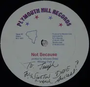 Winston Dale - Not Because