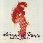 CD - Widespread Panic - Free Somehow