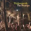 LP - Widowspeak - Swamps -Mlp-