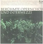 Wiener Volksopernorchester - Berühmte Opernchöre und Intermezzi