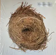 Double LP - Wilco - A Ghost Is Born