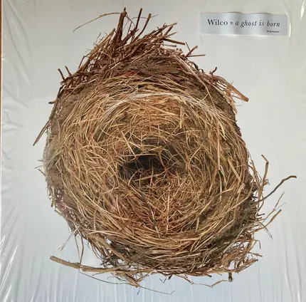 Wilco - A Ghost Is Born
