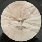 Double LP - Wilco - A Ghost Is Born