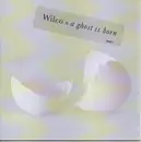 CD - Wilco - A Ghost Is Born - jewel case
