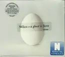 Double CD - Wilco - A Ghost Is Born