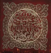 Double LP - Wilco - Cruel Country