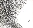 CD - Wilco - Sky Blue Sky - slipcase