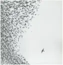 Double LP & CD - Wilco - Sky Blue Sky - Incl. Insert