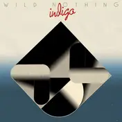 wild nothing - Indigo