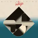 LP - Wild Nothing - Indigo