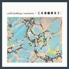 LP - Wild Nothing - Nocturne - + Inserts