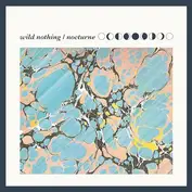 wild nothing