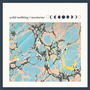 wild nothing