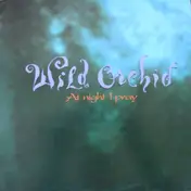 Wild Orchid - At Night I Pray