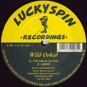 Wild Orkid