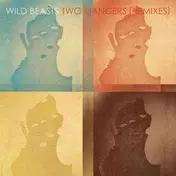 Wild Beasts - Remixes ( Junior Boys/ Jon Hopkins )