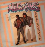 12inch Vinyl Single - Wild Boys - Born To Be Wild