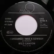 Wild Canyon - I Dreamed I Was A Cowboy / Some Broken Hearts Never Mend