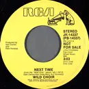 7inch Vinyl Single - Wild Choir - Next Time