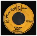 7inch Vinyl Single - Wild Fire - We Calypso