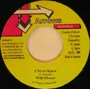 7inch Vinyl Single - Wild Flower - I Never Knew