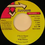 Wild Flower - I Never Knew