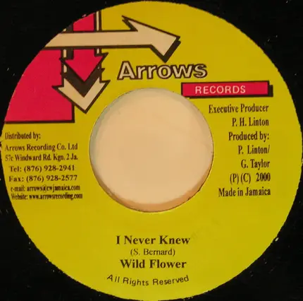 Wild Flower - I Never Knew