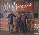 CD - Wild Ponies - Things That Used To Shine