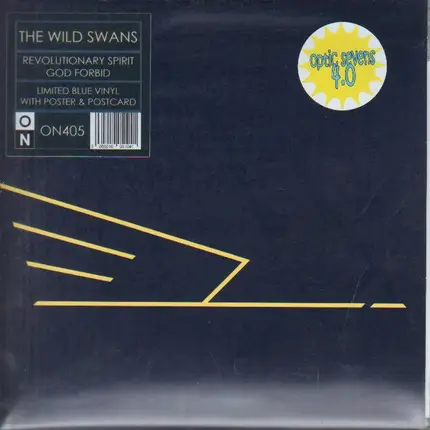The Wild Swans - Revolutionary Spirit