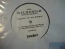 12inch Vinyl Single - Wildchild - Bring It On Down