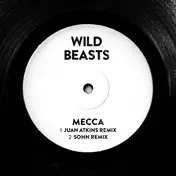 Wild Beasts - Present Tense Remixes