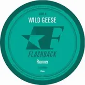 Wild Geese - Runner / Labyrinth