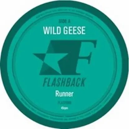 Wild Geese - Runner / Labyrinth