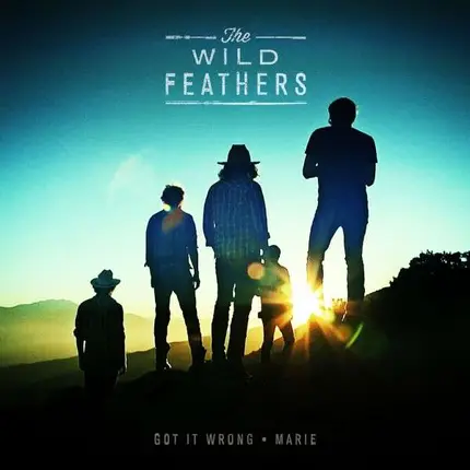WILD FEATHERS - Got it wrong